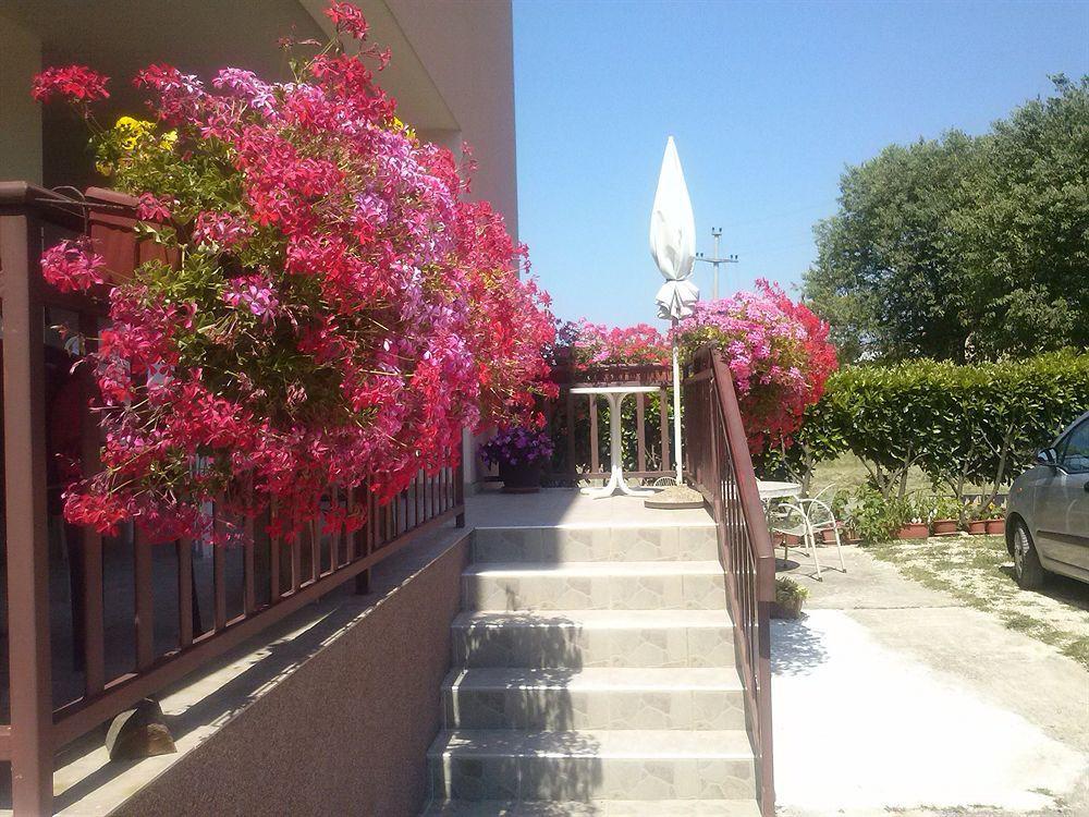 Pansion Ivanka Barac Medjugorje Ngoại thất bức ảnh
