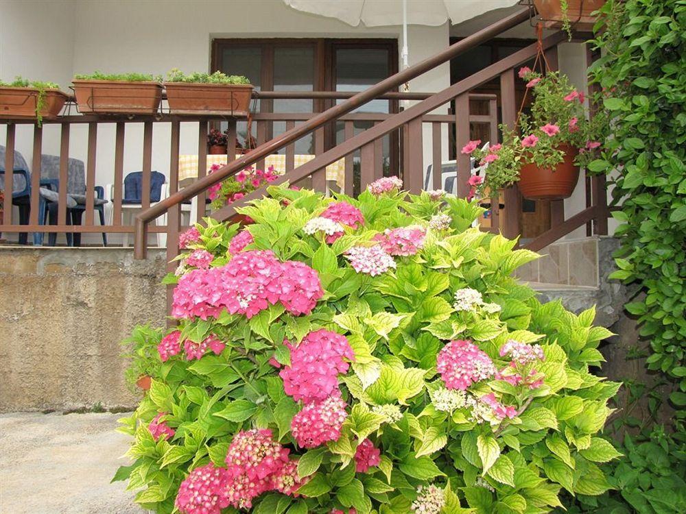 Pansion Ivanka Barac Medjugorje Ngoại thất bức ảnh